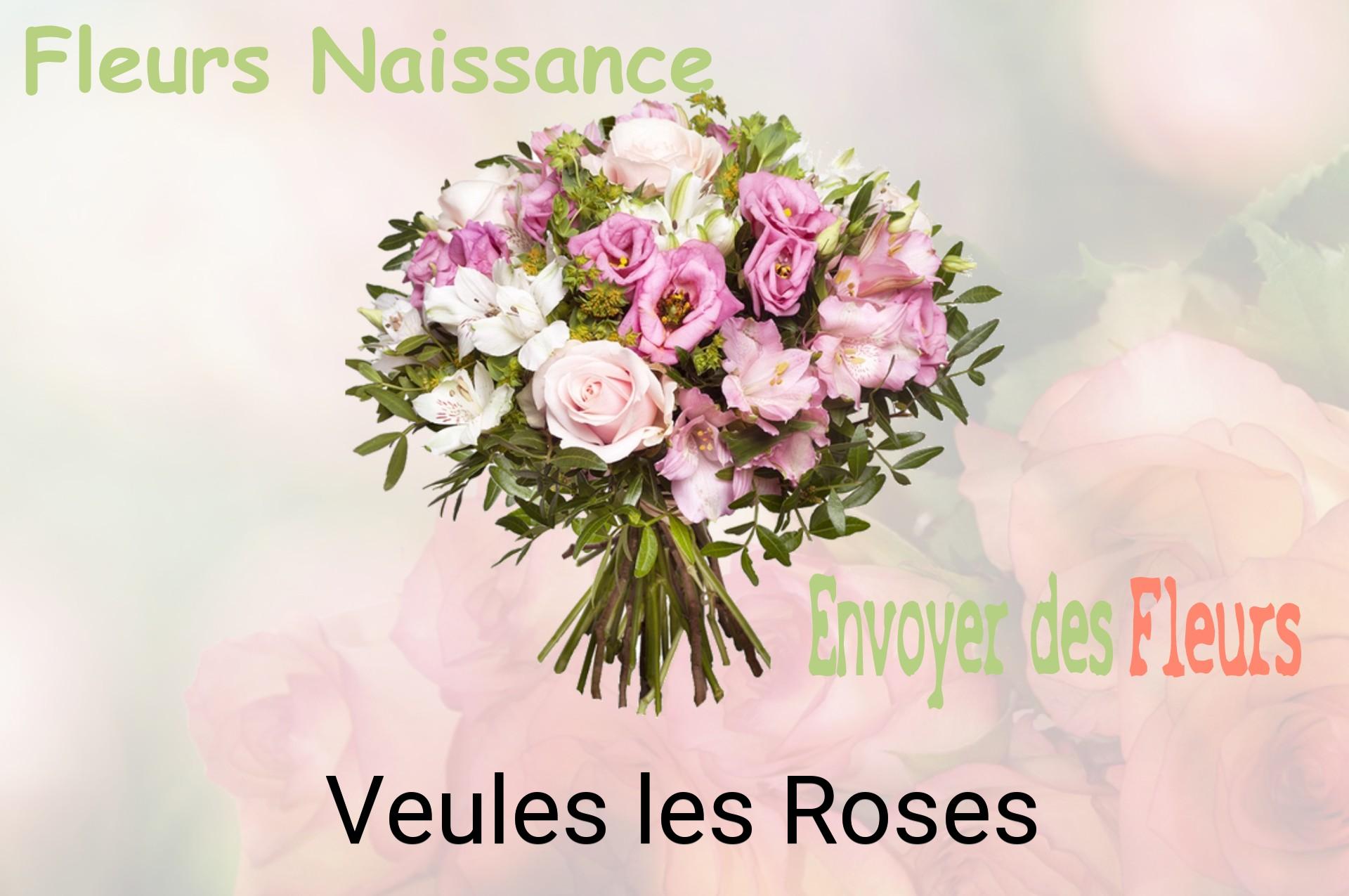 Bouquet de fleurs de naissance livré à Veules-les-Roses